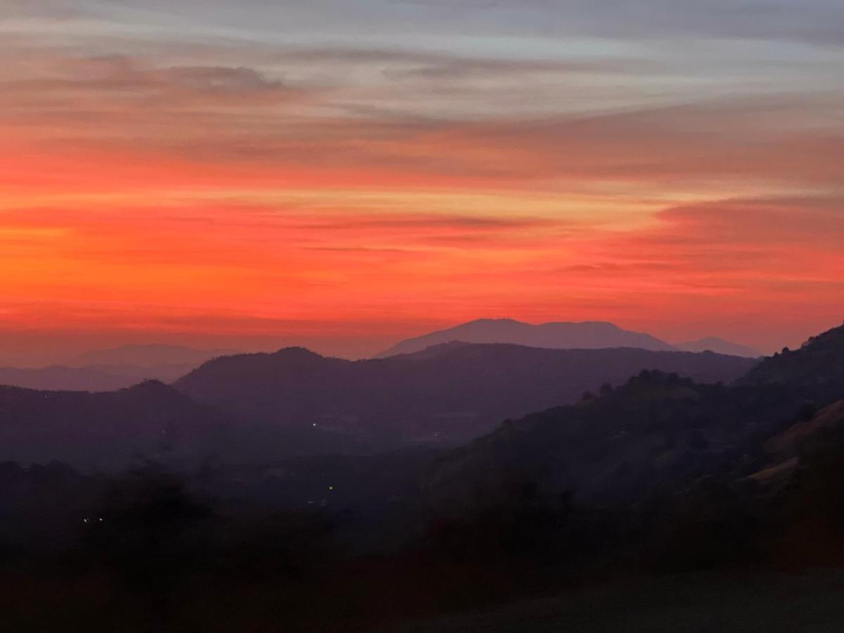The Sequoia Guesthouse Miramonte Bagian luar foto