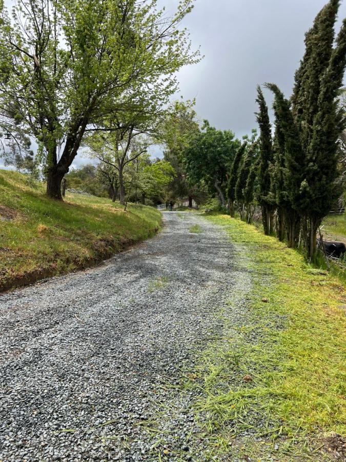 The Sequoia Guesthouse Miramonte Bagian luar foto